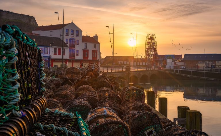 Ban on Lobster Fishing to Save Whales in Maine