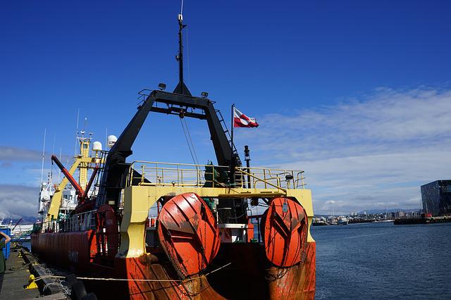 Iceland’s Whaling Company to Resume Whale Hunting