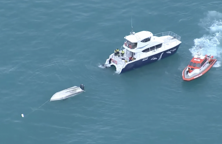 5 People Died After Colliding Into a Whale