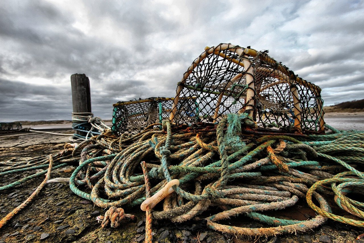 stop eating lobsters