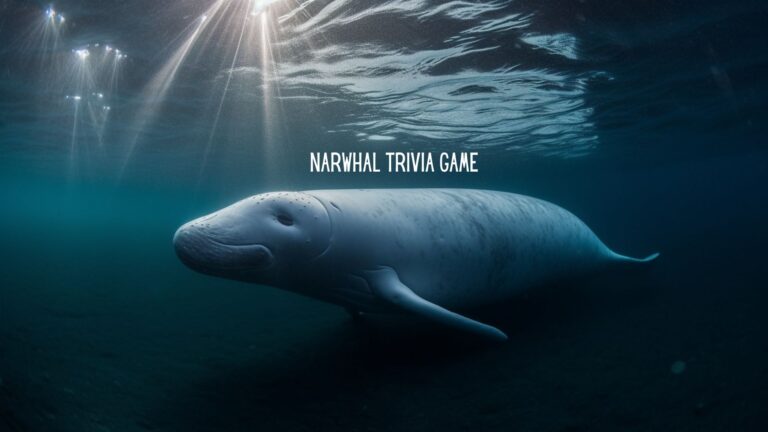 The Narwhal Challenge: Unveil the Secrets of the Arctic Unicorn